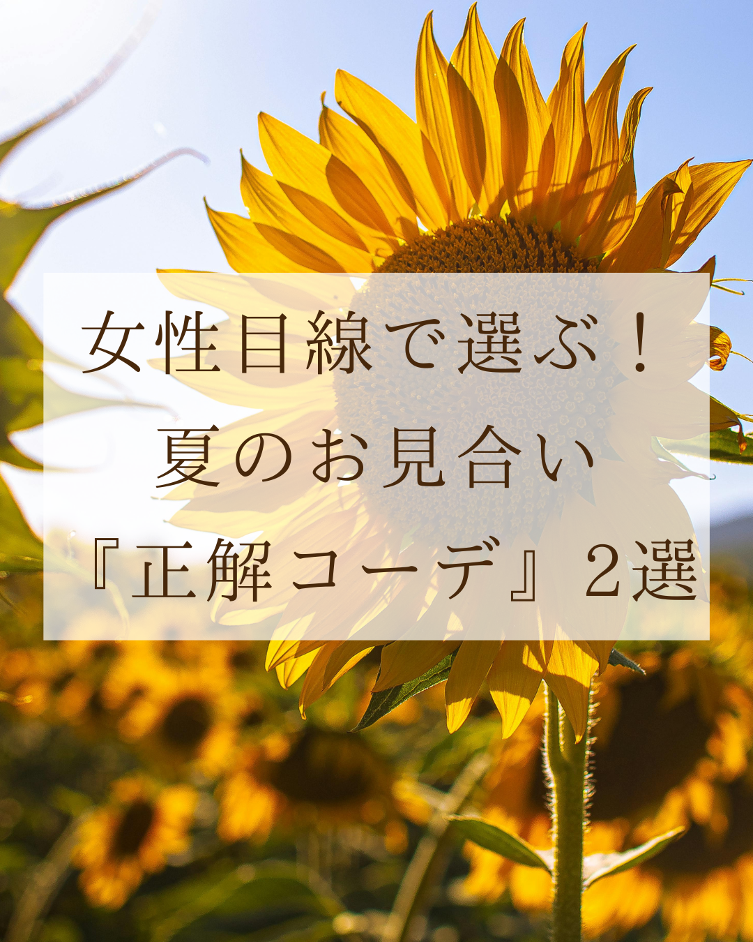 プロフィールリンクから ホームページを ご覧いただけます - 1